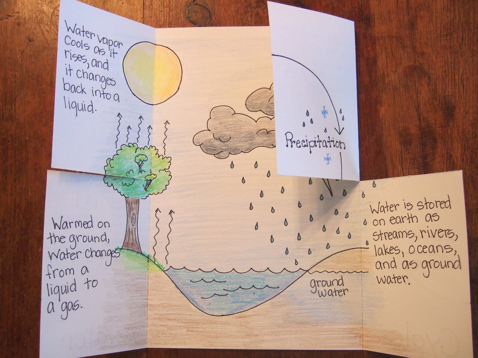 Water cycle foldable